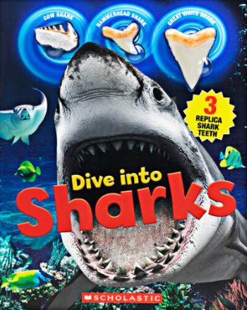 Dive into Sharks